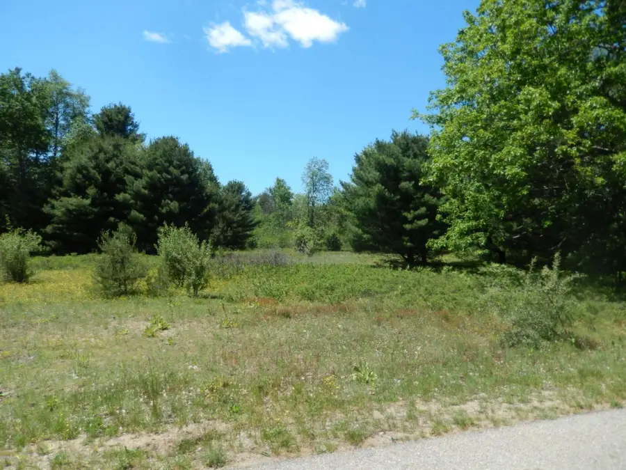 6265 Kilkenny Drive, Canadian Lakes, MI 49346 - #3
