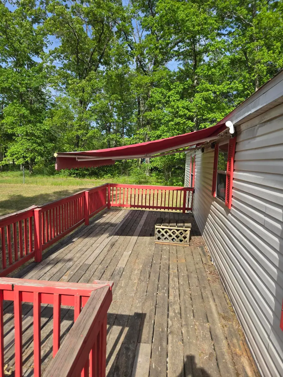 281 E Wilson Drive, Idlewild, MI 49642 - #3