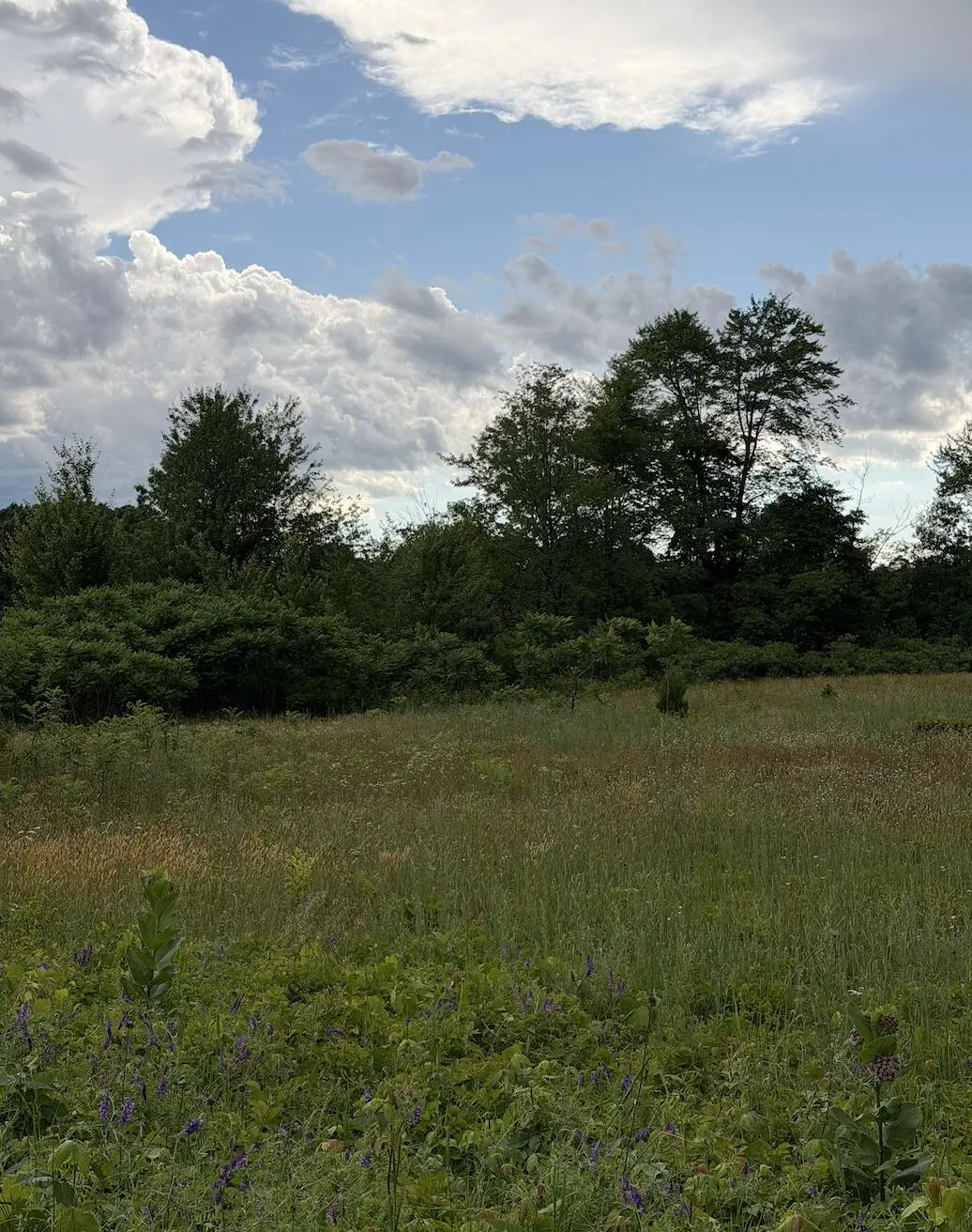 390 S Arent Road, Watervliet, MI 49098 - #1