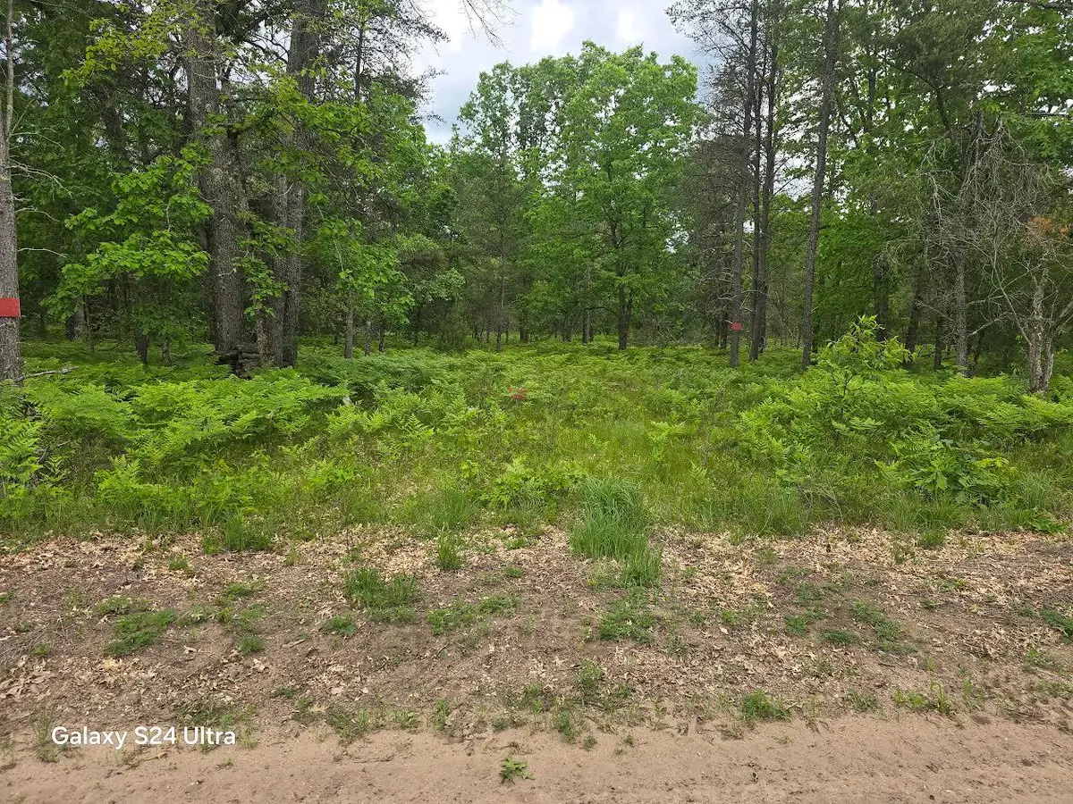 0000 S Forman Road #3, Baldwin, MI 49304 - #1