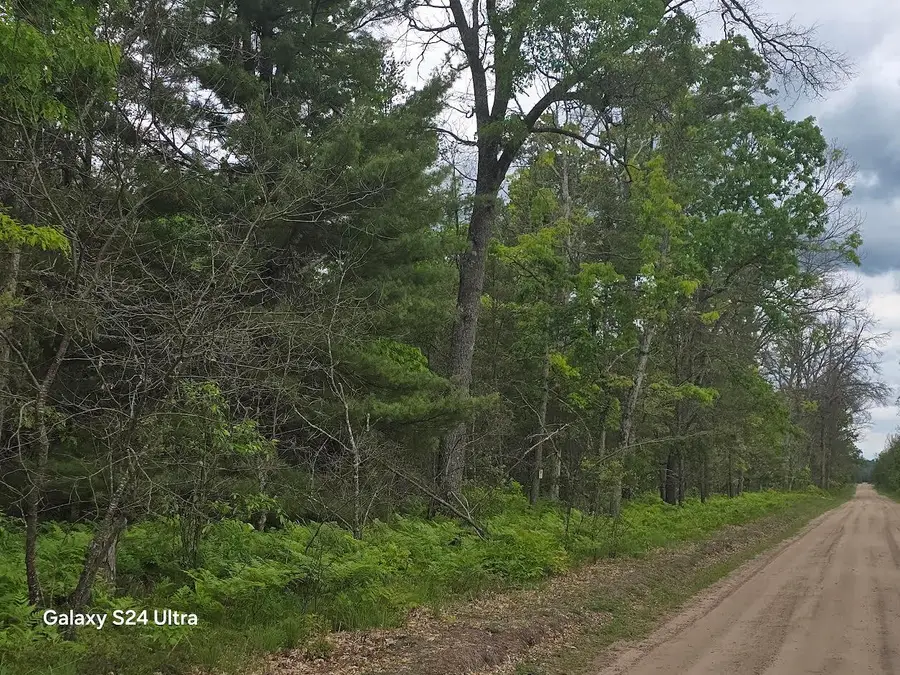0000 S Forman Road #3, Baldwin, MI 49304 - #3
