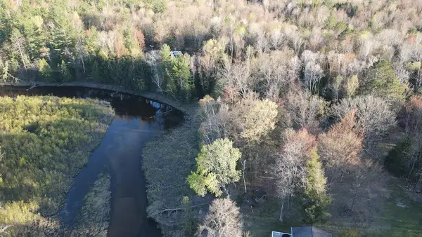 Lot 1 V/l Wildwood Road, Alger, MI 48610