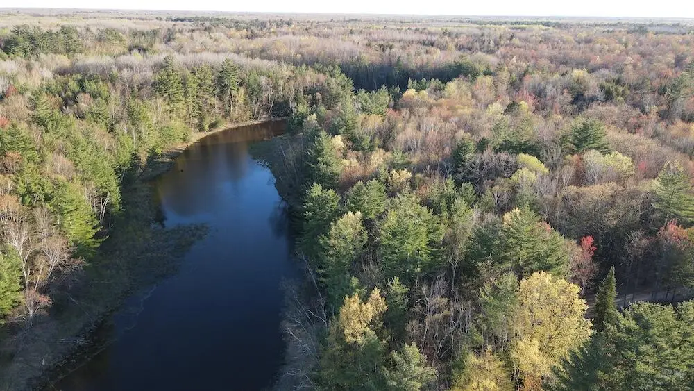 Lot 9 V/l Wildwood Road, Alger, MI 48610 - #1