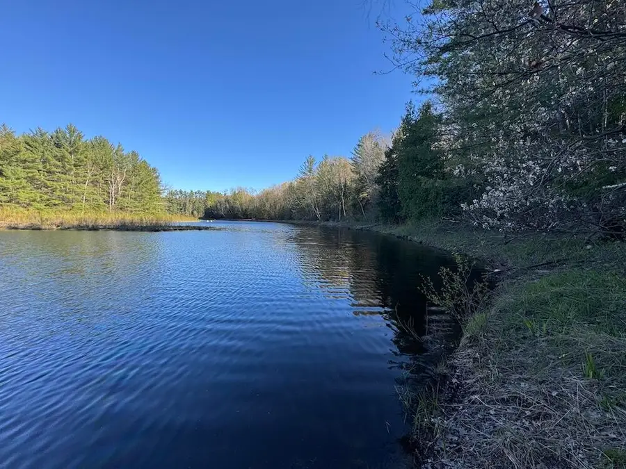 Lot 9 V/l Wildwood Road, Alger, MI 48610 - #2