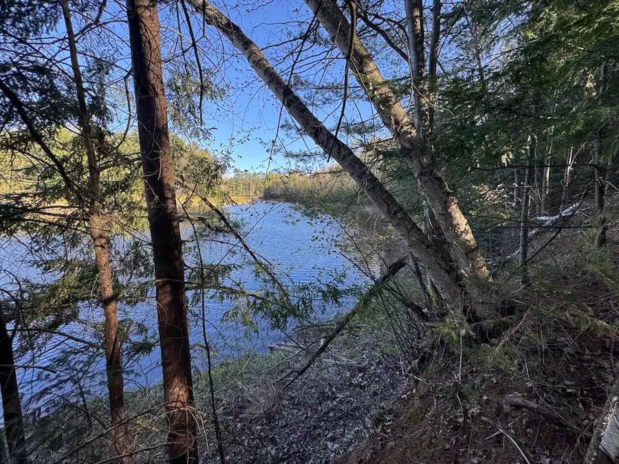 Lot 9 V/l Wildwood Road, Alger, MI 48610 - #3