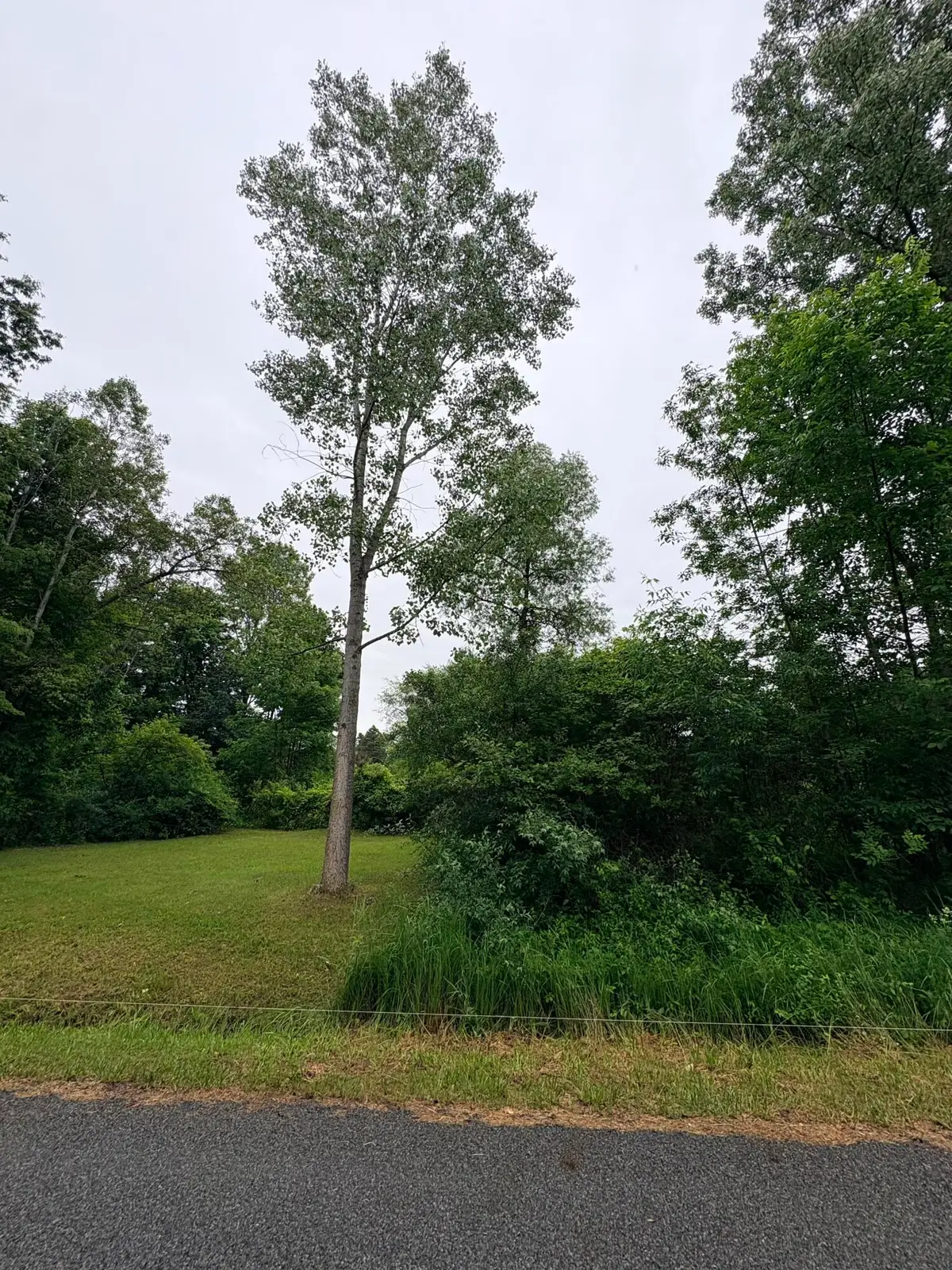 0 Crestview Drive, Laingsburg, MI 48848 - #1