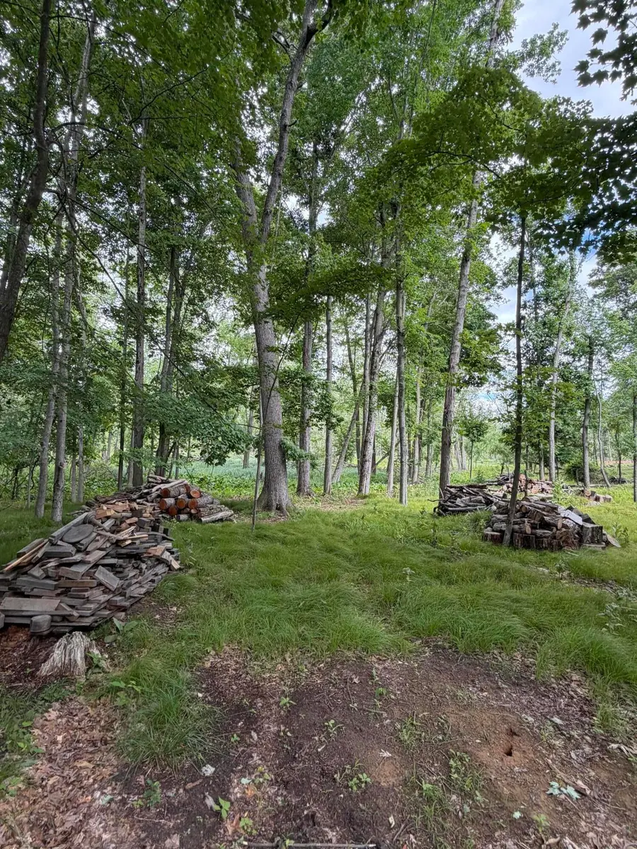 4000 Woodland Road, Jackson, MI 49203 - #3