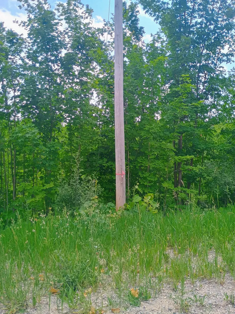 000 Pontius Road Se, Kalkaska, MI 49646 - #2