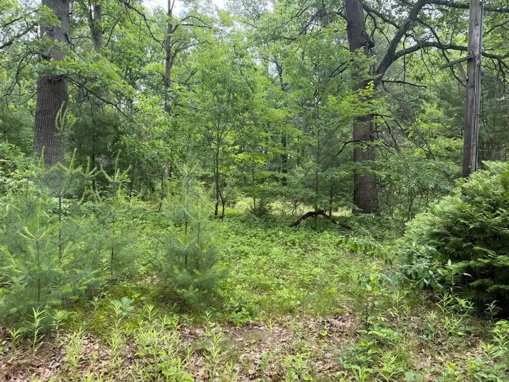 6250 Clover Road, Twin Lake, MI 49457 - #1