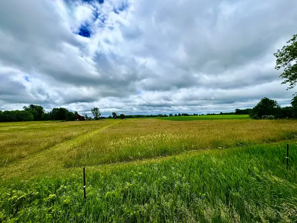 V/L W Lake Montcalm Road #Parcel D, Howard City, MI 49329