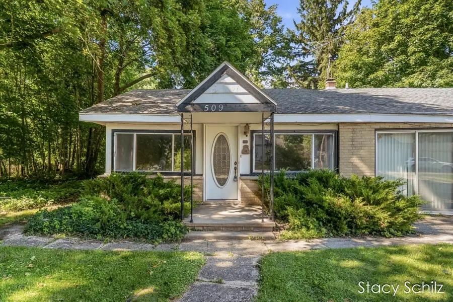 509 Reed Street, Nashville, MI 49073 - #3