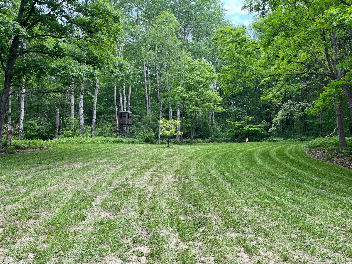 V/L Peach Avenue, White Cloud, MI 49349 - #1