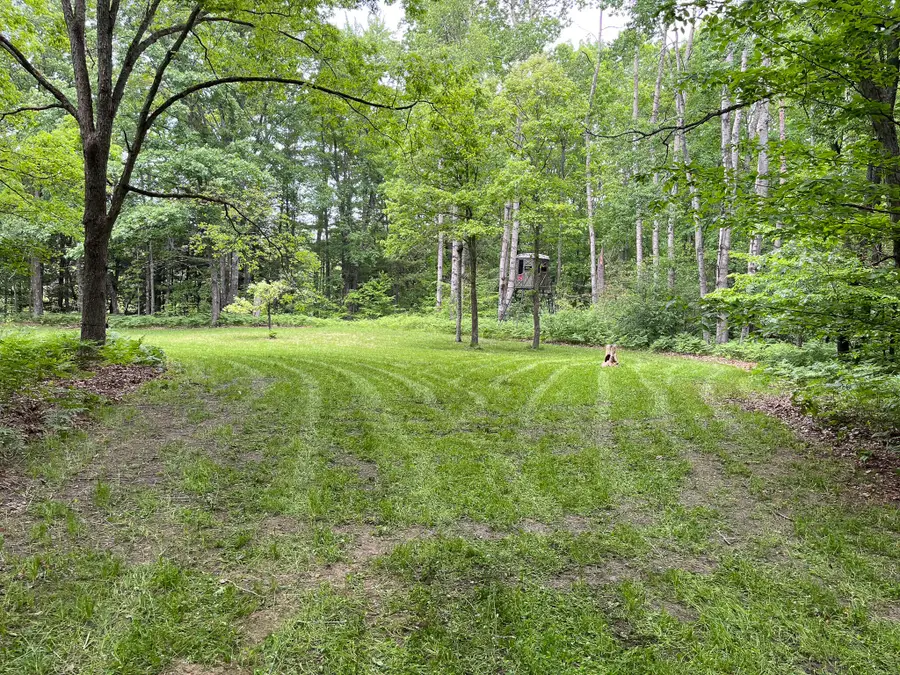 V/L Peach Avenue, White Cloud, MI 49349 - #2