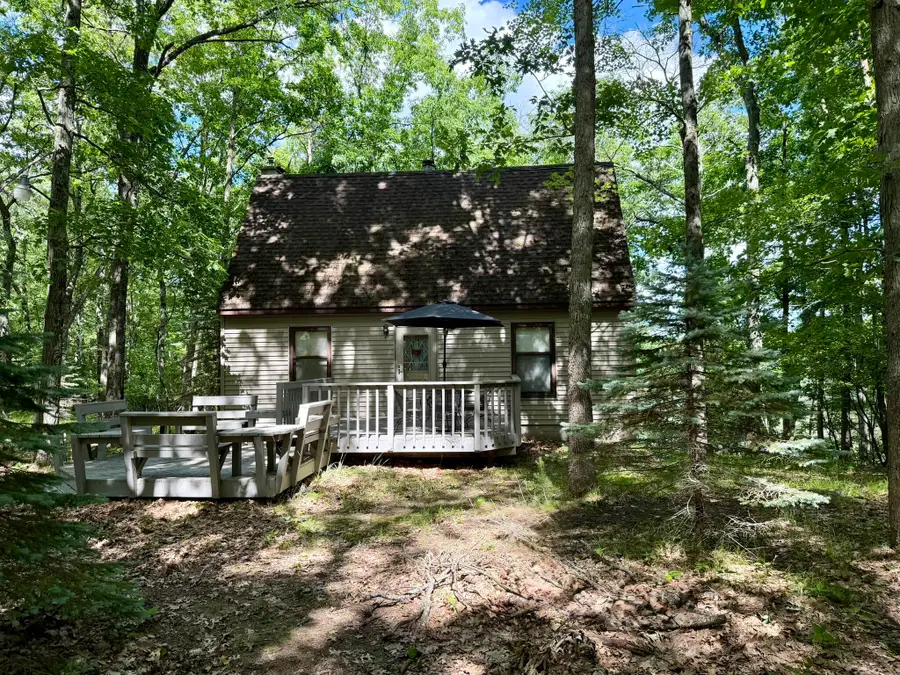 6922 W Twin Lake Drive, Irons, MI 49644 - #2