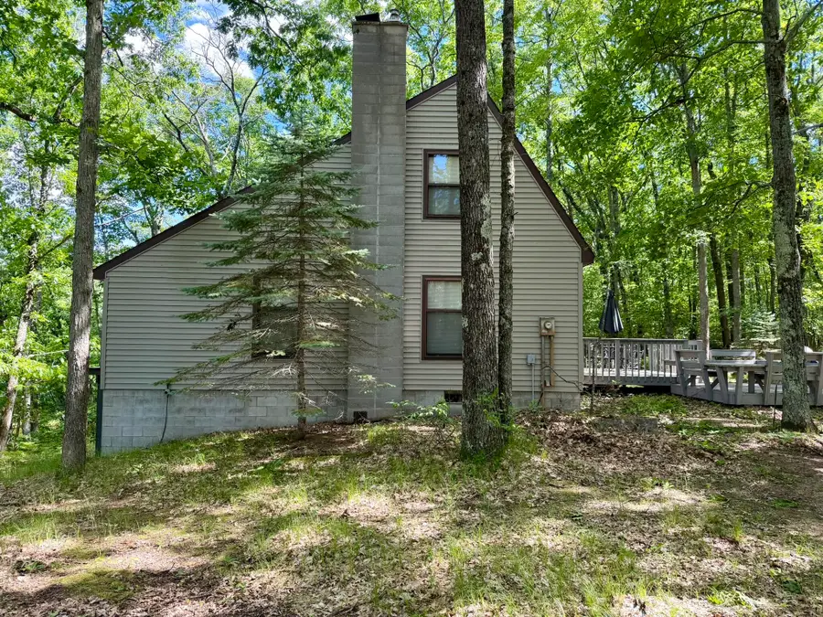 6922 W Twin Lake Drive, Irons, MI 49644 - #3