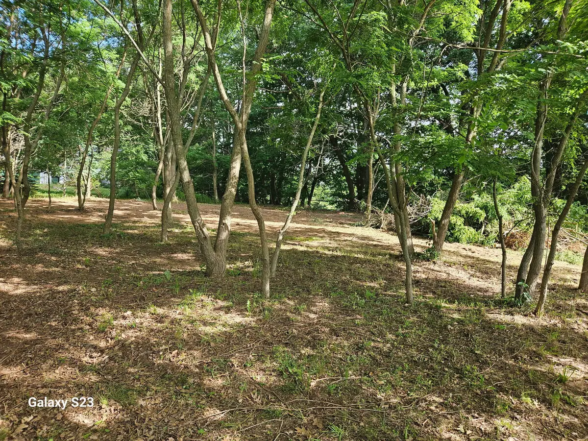 12269 Coral Road, Coral, MI 49322 - #1