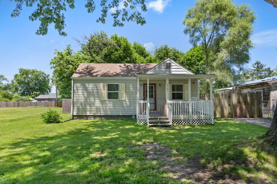 313 Elizabeth Street, Buchanan, MI 49107 - #2