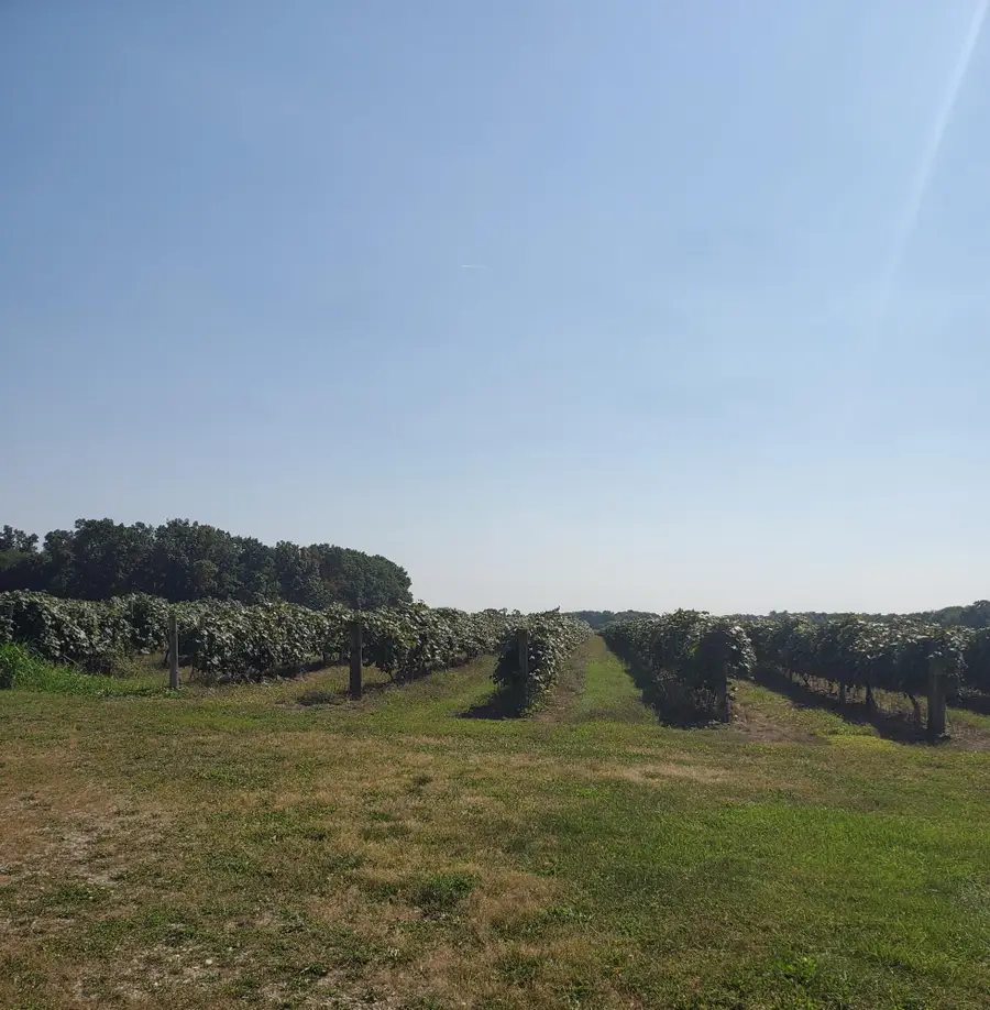 VLA County Road 671, Paw Paw, MI 49079 - #3