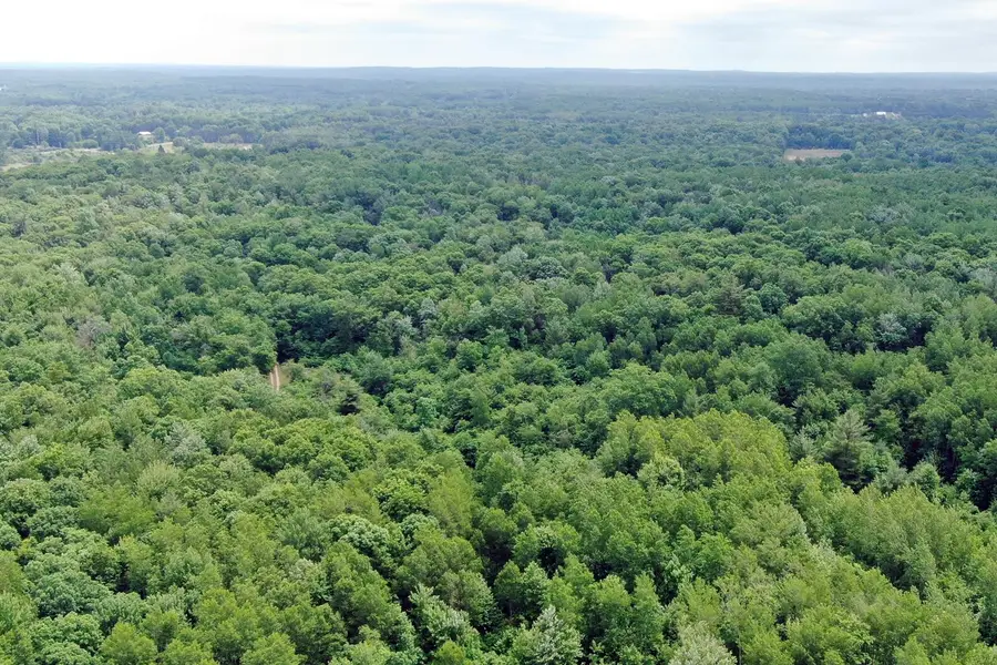 000 110th Ave Road, Mecosta, MI 49332 - #3