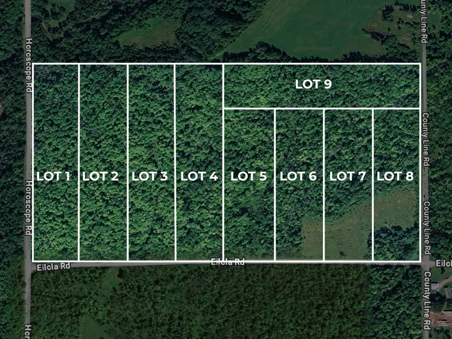 Lot 5 Horoscope Road, Pelkie, MI 49958 - #3
