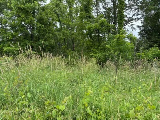 VL 56th Street #Lot A, Fennville, MI 49408 - #3