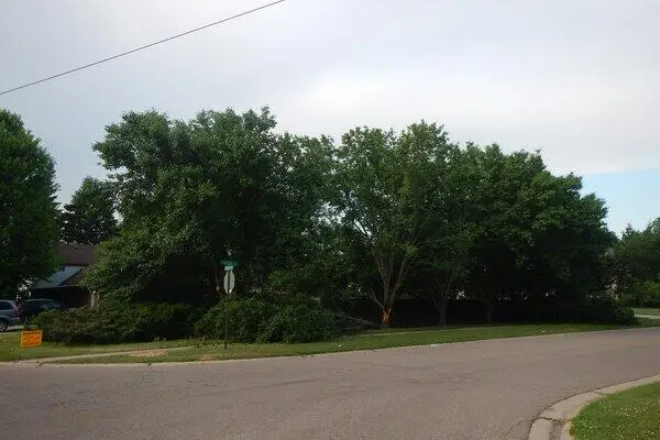 VL South Demorrow Road, Stevensville, MI 49127 - #1