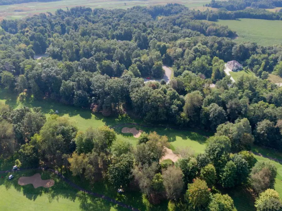 15295 Alister Mackenzie Avenue, Augusta, MI 49012 - #3