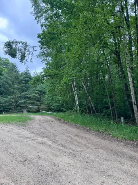 114 Bluff Drive, Leroy, MI 49655