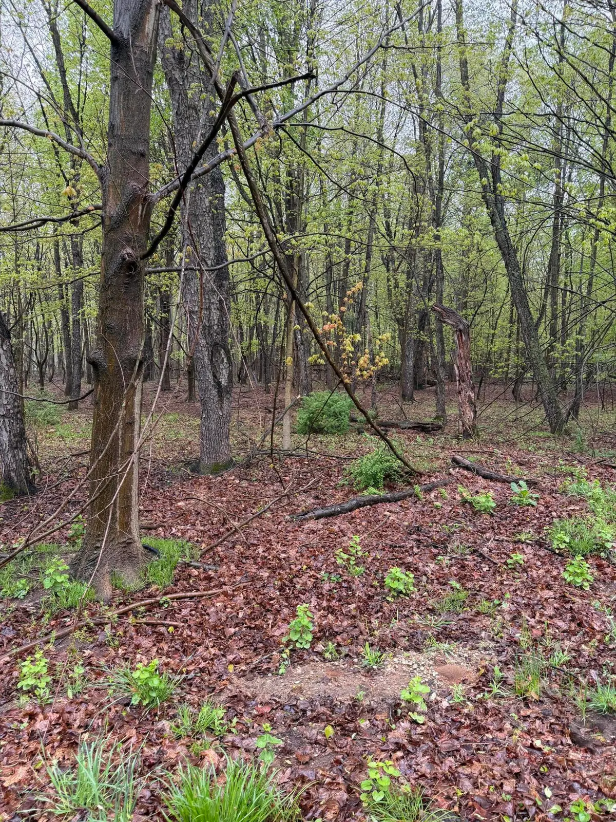 Lot 2 Christopher Lane, South Haven, MI 49090 - #1