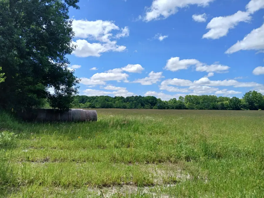 20A N Stephens Road, Custer, MI 49405 - #2