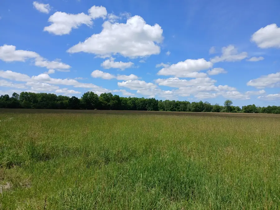 20A N Stephens Road, Custer, MI 49405 - #3