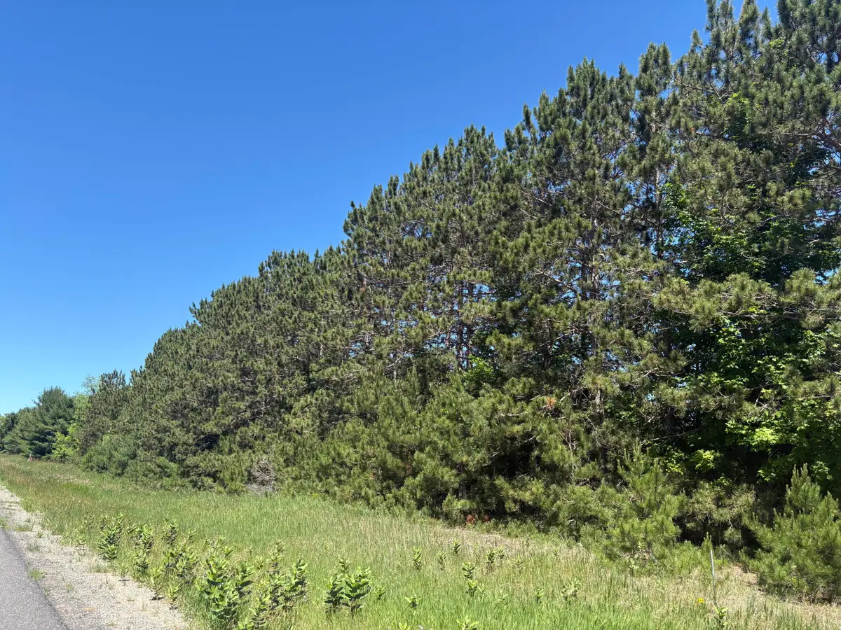 7.91 Acres Butwell Road, Bear Lake, MI 49614 - #1