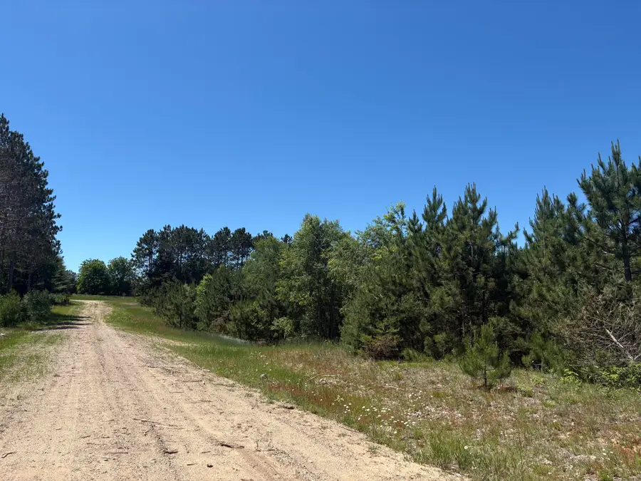 7.91 Acres Butwell Road, Bear Lake, MI 49614 - #3