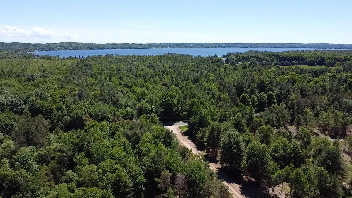 5.67 Acres Norconk Road, Bear Lake, MI 49614 - #1