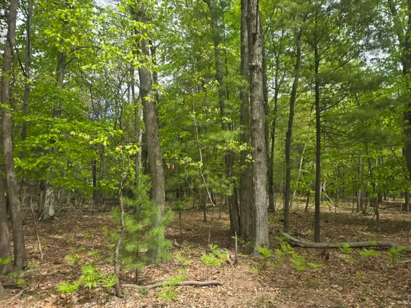 VL 10 ACRE N Ridge Road Road, Mears, MI 49436