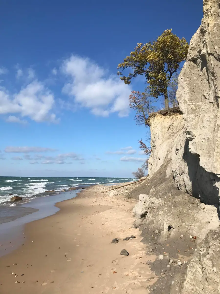 1418 Blue Star Highway, South Haven, MI 49090 - #2