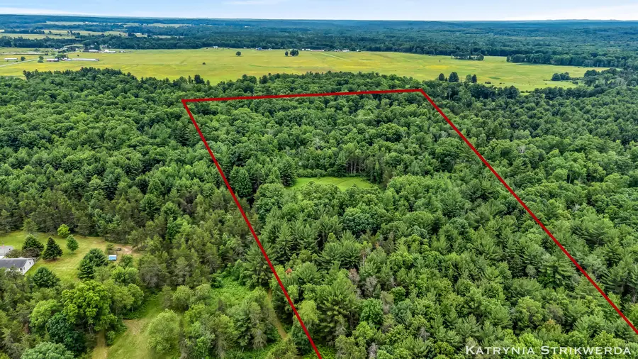 V/L E Kinney Rd, Branch, MI 49402 - #2