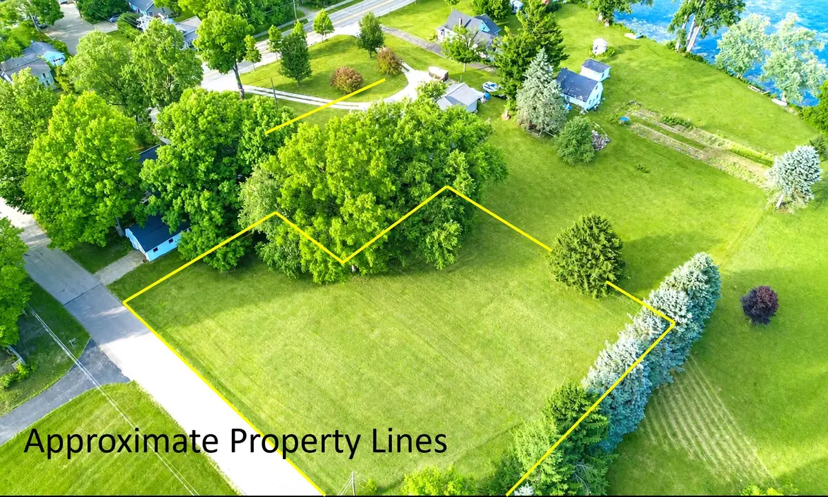 711 Granger Street, Manchester, MI 48158 - #1