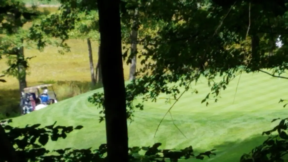 11010 Shawnee Trail #229, Stanwood, MI 49346 - #1