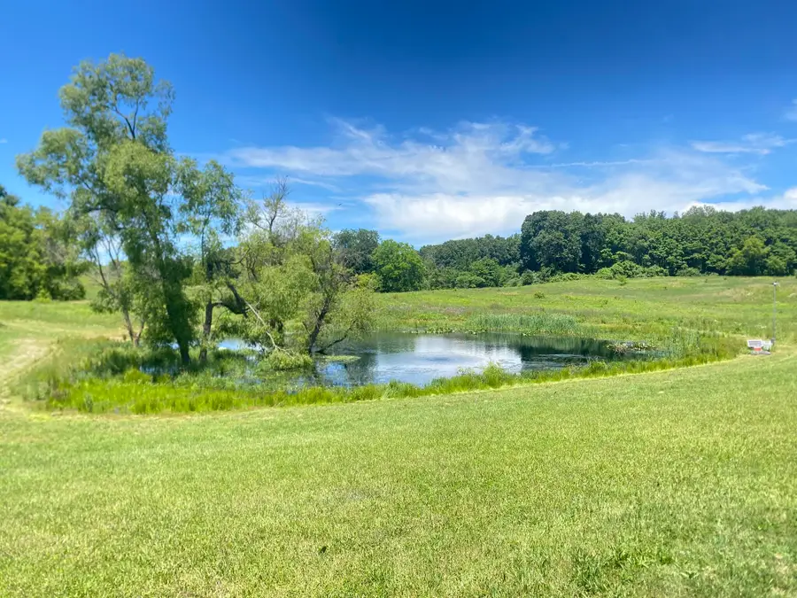 Cassidy Road, Bellevue, MI 49021 - #3