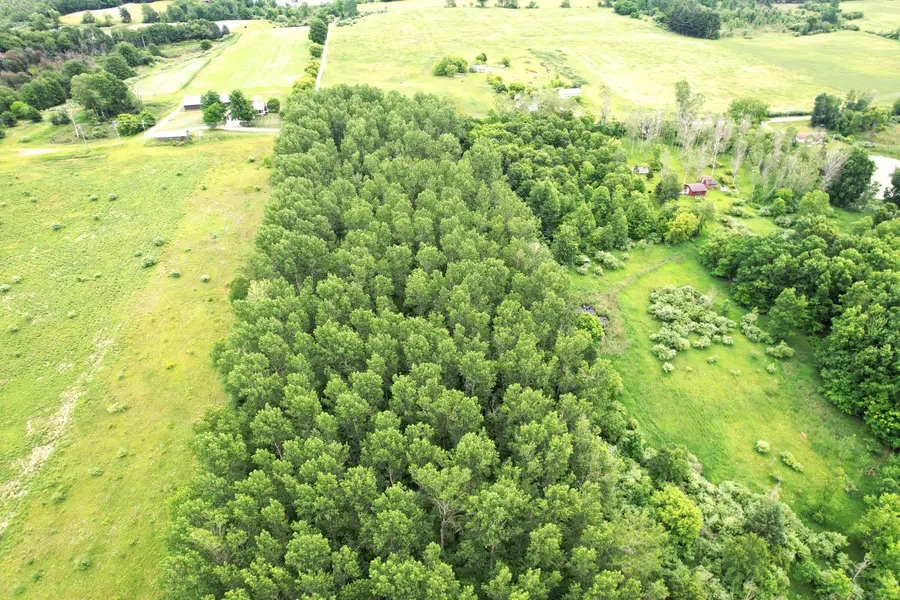 N Poplar Road, Fountain, MI 49410 - #3