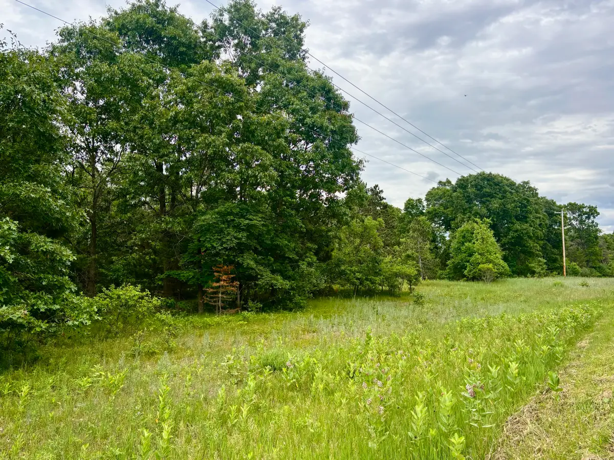 V/L Whitehall Rd, Whitehall, MI 49461 - #1