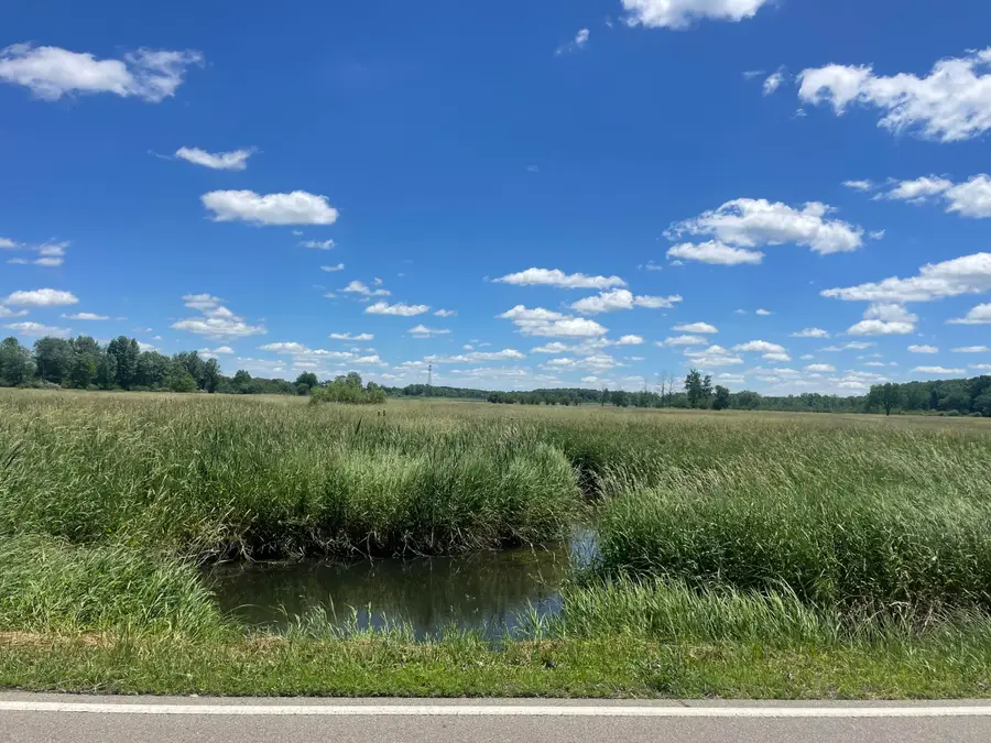 Parcel B Browns Lake Road, Jackson, MI 49203 - #2