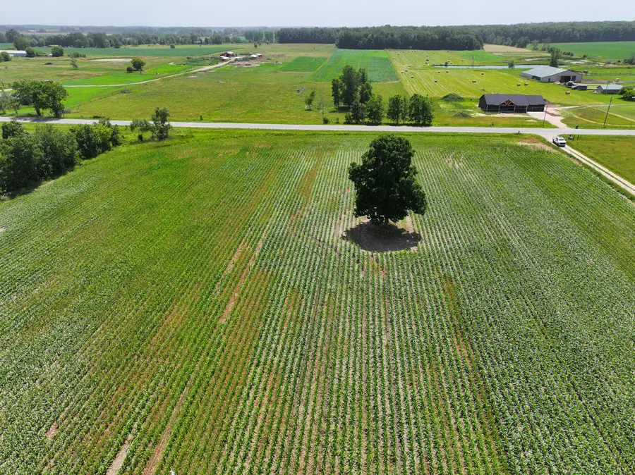 0 Kendaville Road, Pierson, MI 49339 - #2