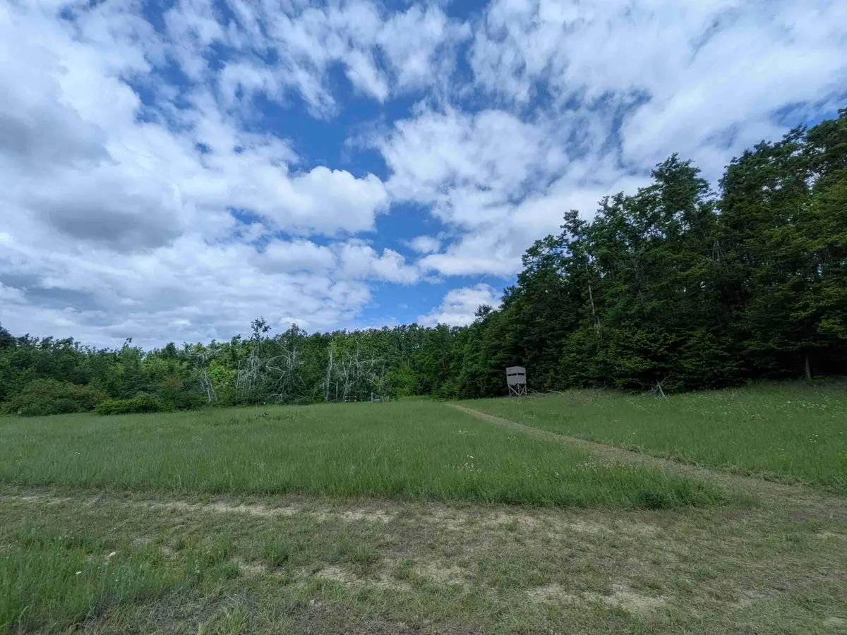 4439 Kuzmik Road, Boyne Falls, MI 49713 - #1