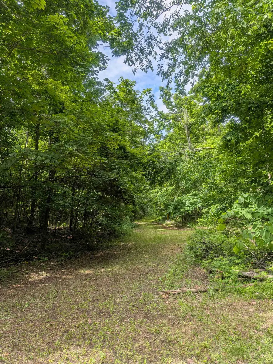 4439 Kuzmik Road, Boyne Falls, MI 49713 - #2