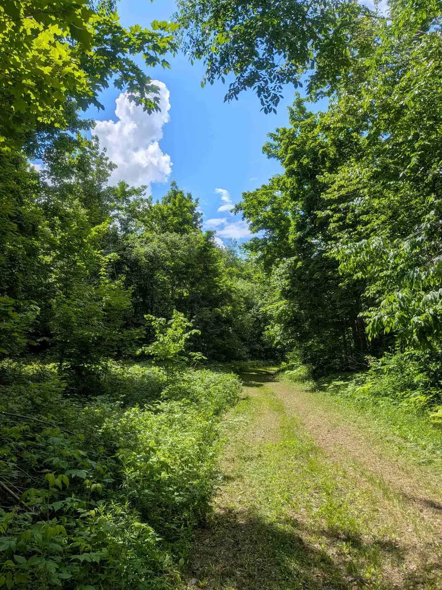 4439 Kuzmik Road, Boyne Falls, MI 49713 - #3