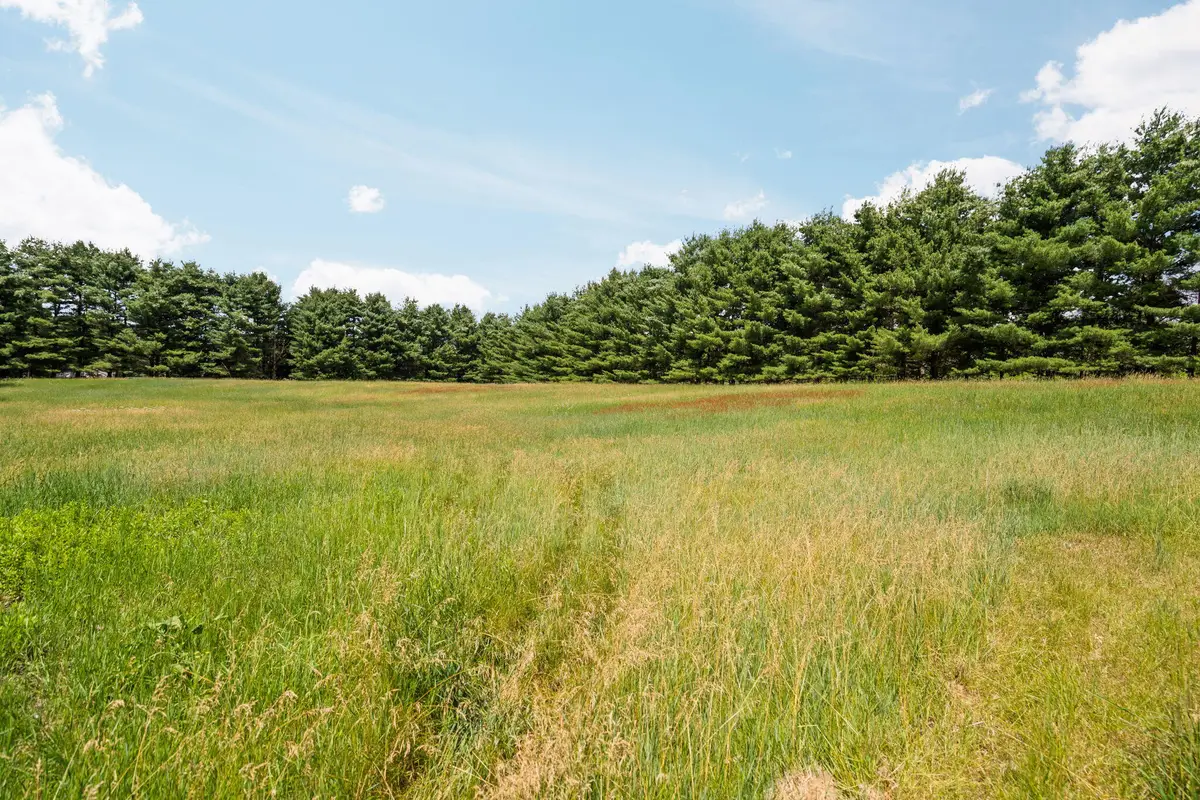 18250 Bush Road, Chelsea, MI 48118 - #1