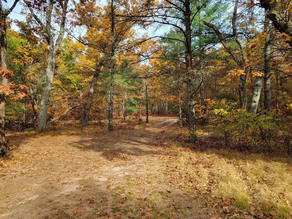 4.84 Ac 160th Avenue, Hesperia, MI 49421 - #1