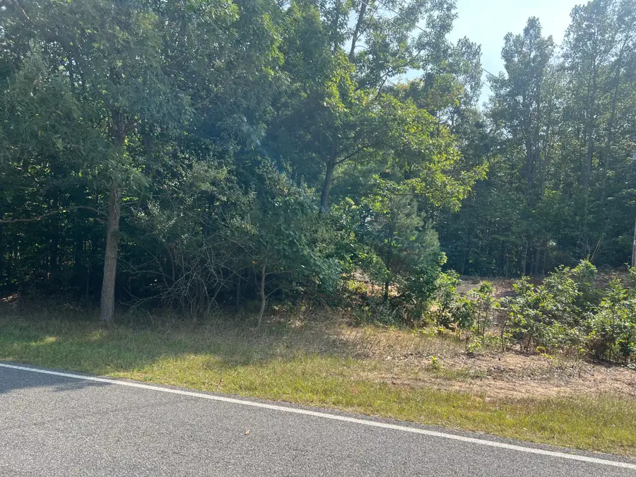 10 Acres W Arthur Road, New Era, MI 49446 - #3